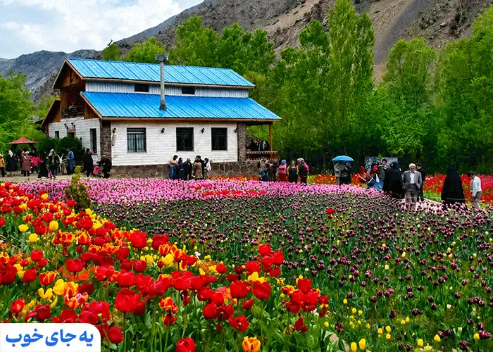 پوشش گیاهی منطقه فشم تهران